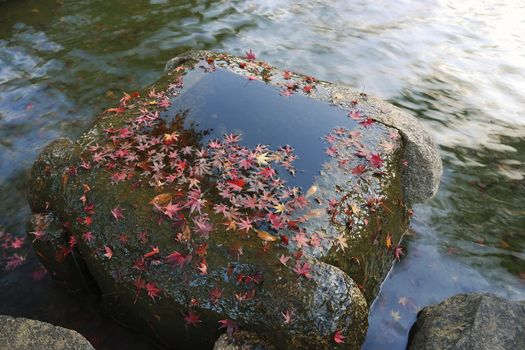red maple tree leafs lay over water in stone pot and flowing water in zen-garden