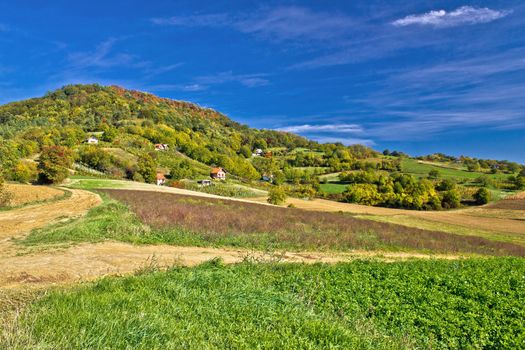 Beautiful green hill with vineyard cottages, Kalnik mountain, Prigorje, Croatia