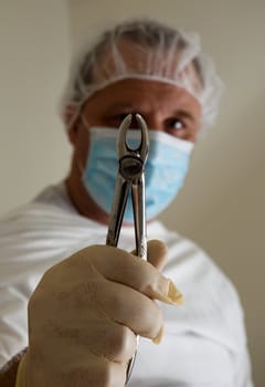 Dentist's hand holding claws .