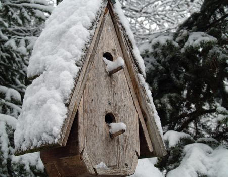 A Snow Covered Birdhouse After a Snowfall