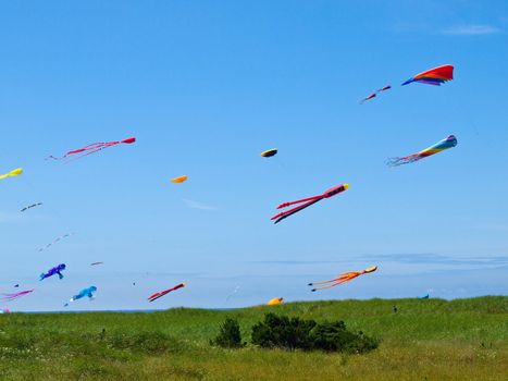 Various Colorful Kites Flying in a Bright Blue Sky