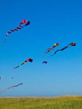 Various Colorful Kites Flying in a Bright Blue Sky