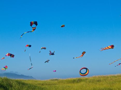 Various Colorful Kites Flying in a Bright Blue Sky