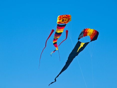 Various Colorful Kites Flying in a Bright Blue Sky