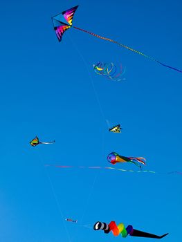 Various Colorful Kites Flying in a Bright Blue Sky