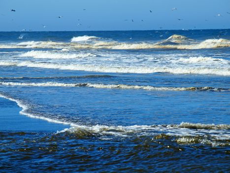 Ocean Waves Breaking on Shore on a Clear, Sunny Day