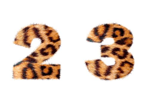 Custom number symbol base on leopard skin, isolated in white