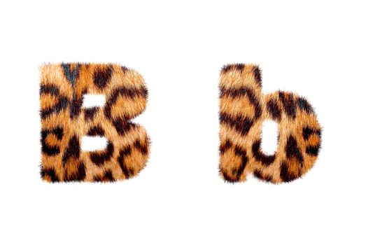 Custom english text base on leopard skin, isolated in white