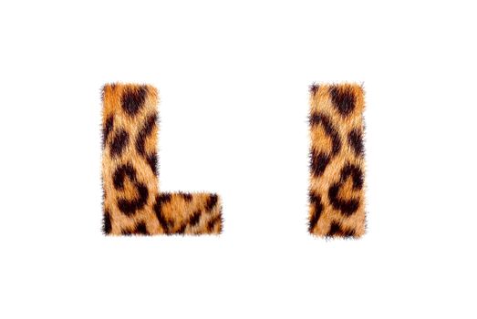 Custom english text base on leopard skin, isolated in white
