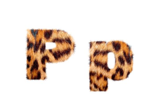 Custom english text base on leopard skin, isolated in white