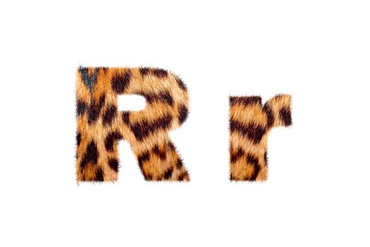 Custom english text base on leopard skin, isolated in white