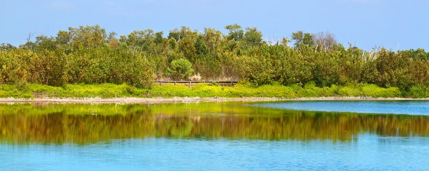 Beautiful sunny day at the Eco Pond of Everglades National Park in Florida.