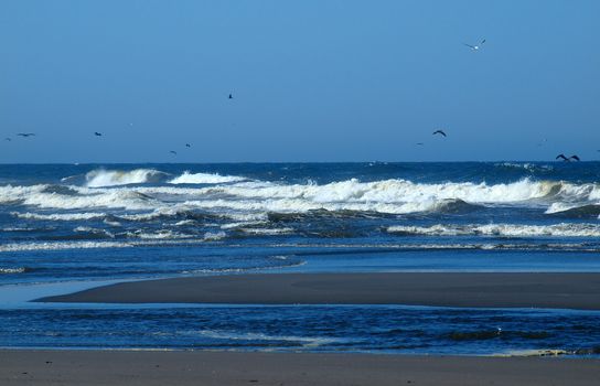 Ocean Waves Breaking on Shore on a Clear, Sunny Day