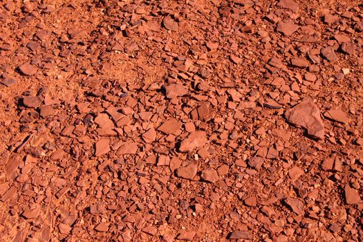 Cracked substrate of Capitol Reef National Park in Utah.