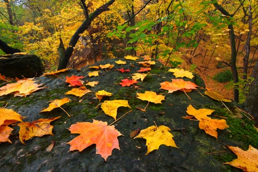 Beautiful autumn landscape at Rock Cut State Park in northern Illinois.