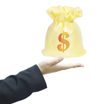 money bag on businessman hand on white background.