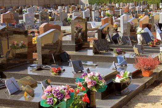 a cemetery flower with several tombstones