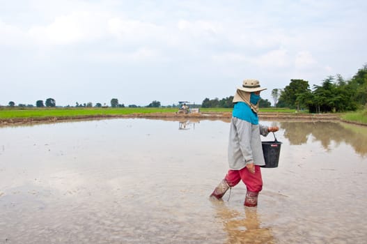 farmer working in the field