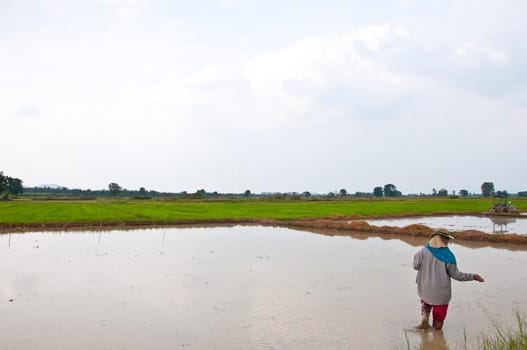 farmer working in the field