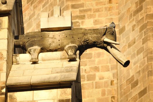 decoration figure of elephant on the medieval Barcelona Cathedral Church wall in Barcelona, Spain