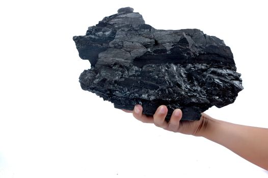 male hand holding a big lump of coal isolated on white background