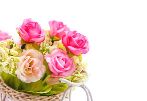 Flowers on white background