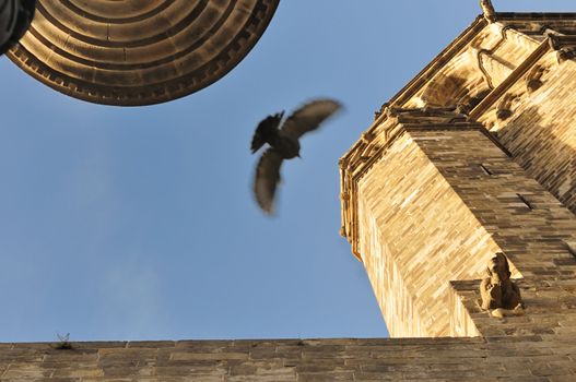 fragment of medieval Barcelona Cathedral Church with flying pigeon; focus on building wall