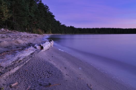 scenic twilight lake with dry log on the shore
