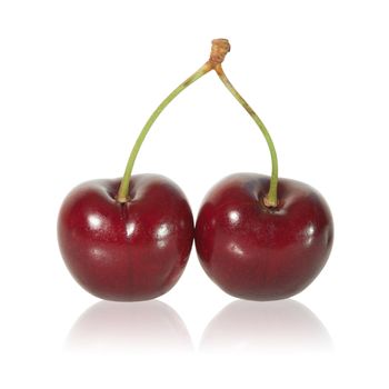 Cherries on white background