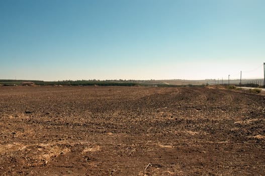 Agriculture fields . Landscape Of North Galilee In Early winter, Israel.