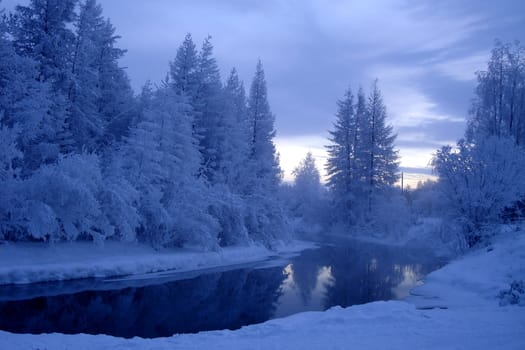 Winter landscape, a pond surrounded by
snow-covered trees