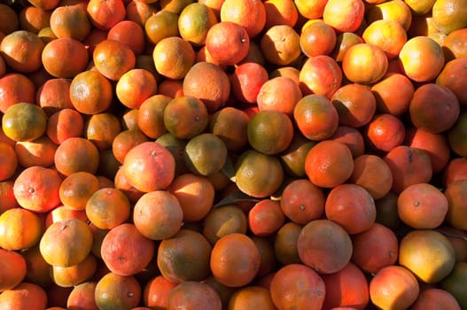 Background of orange tangerine fruits . Market.