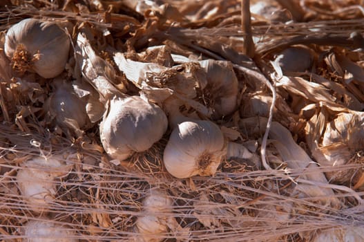 Stall of garlic at the market .