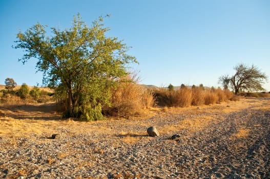 Landscape Of North Galilee In Early winter, Israel.