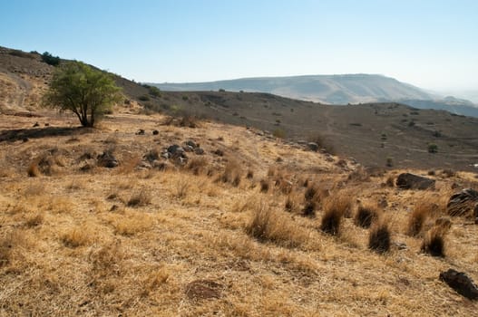 Landscape Of North Galilee In Early winter, Israel.