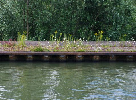 Pretty weeds and flowers line a concrete river bank along a calm stretch of water