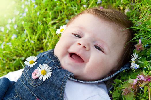 baby on green grass with daisy