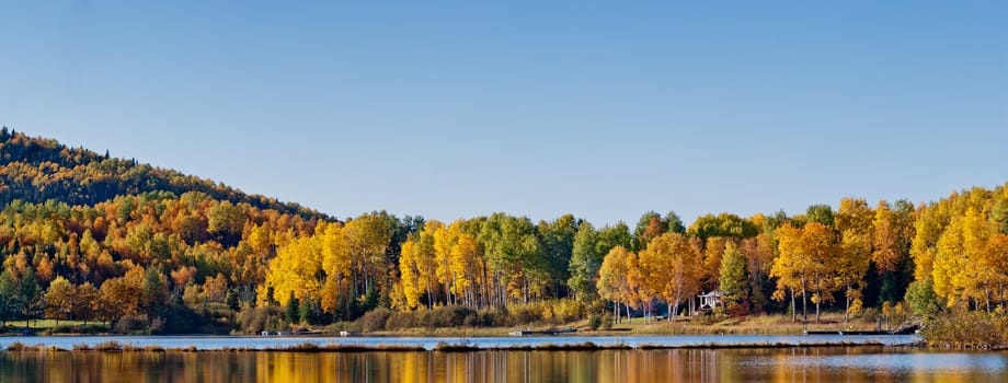 Deciduous forest reflection in an lake beautiful autumn colors