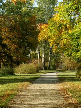 path in an autumnal park