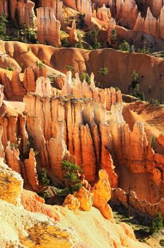 spectacular Hoodoo rock spires of Bryce Canyon, Utah, USA