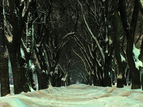 mystical avenue at winter night