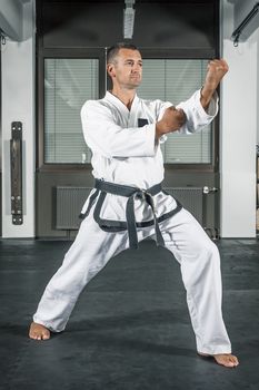 An image of a martial arts master