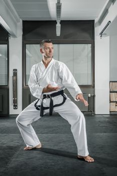 An image of a martial arts master