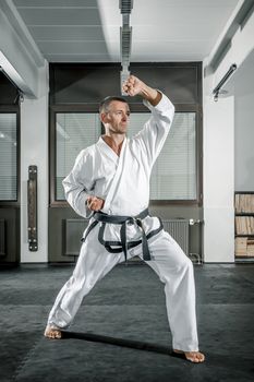 An image of a martial arts master