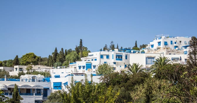 Houses of Sidi Bou Said with predominantly blue and white colors