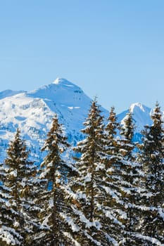 Winter vacation - panorama of beautiful mountains landscape