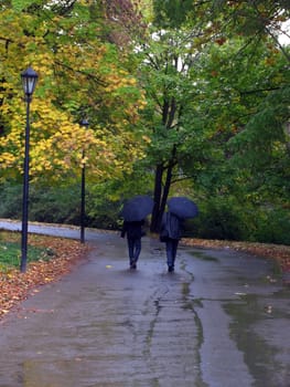 road in autumnal park