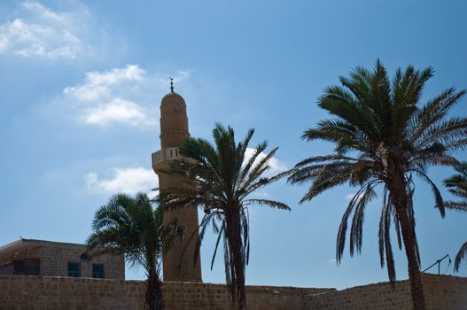 Herzliya Pituach. Israel. Sidney Ali Mosque.
The Samaritans believe that this is the burial place of the high priest Eli, the time of Judges (1 Kings 2). Muslims are called different names - whether Abu Ali ibn-1081, or the soldiers who died in 1260 The present building of the mosque rebuilt in 1481 from Sheikh called on behalf of Shams al-Din, who immured in the wall of black stone justice. According to legend, one who could not touch in the darkness of this stone, shall be guilty.