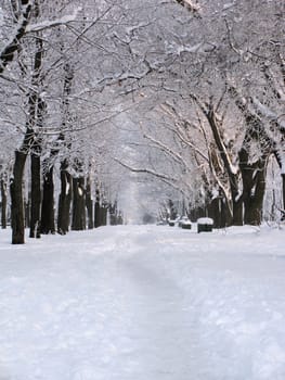 park at winter