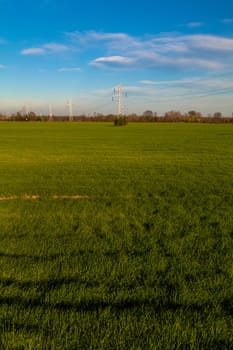 pylons in the green country